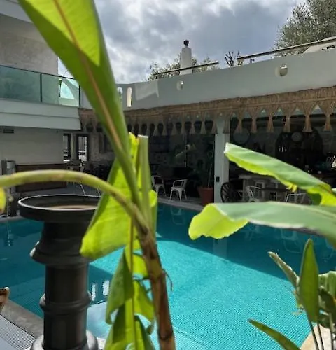 Brera - Special Category 4* 알라카티