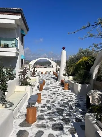 Brera - Special Category 알라카티