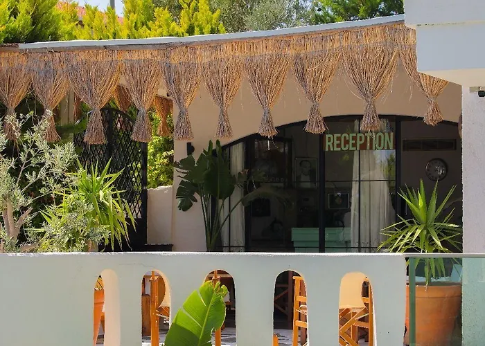 Brera - Special Category 알라카티