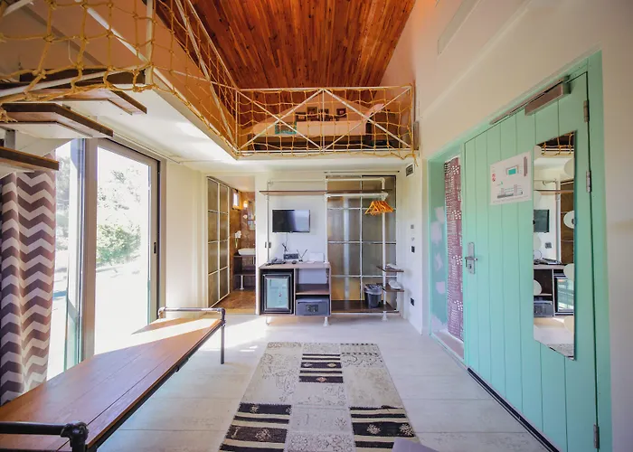 Brera - Special Category