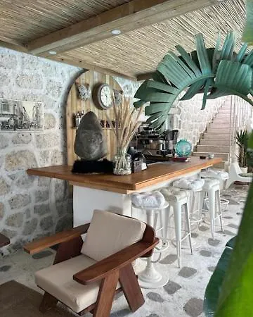 Brera - Special Category